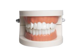 Dental Products