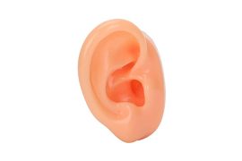 Ear